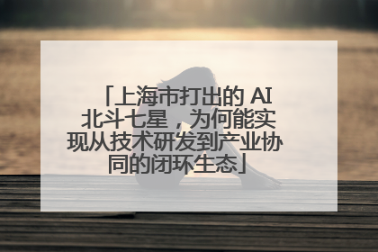 上海市打出的 AI 北斗七星，为何能实现从技术研发到产业协同的闭环生态