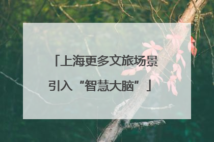 上海更多文旅场景引入“智慧大脑”
