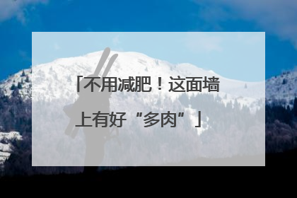 不用减肥！这面墙上有好“多肉”