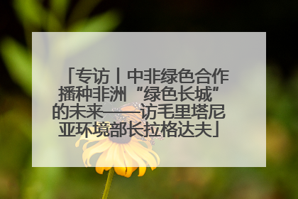 专访丨中非绿色合作播种非洲“绿色长城”的未来——访毛里塔尼亚环境部长拉格达夫