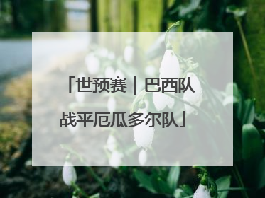 世预赛｜巴西队战平厄瓜多尔队