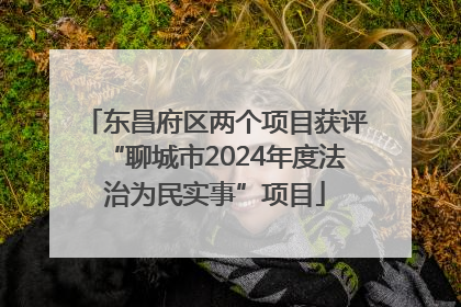 东昌府区两个项目获评“聊城市2024年度法治为民实事”项目