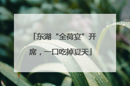 东湖“全荷宴”开席，一口吃掉夏天