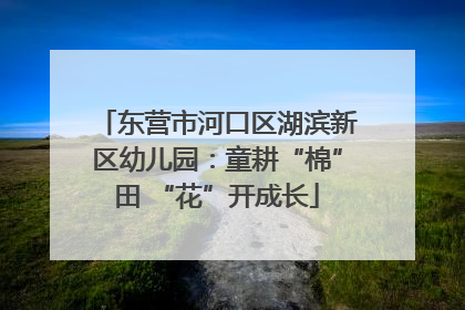东营市河口区湖滨新区幼儿园：童耕“棉”田 “花”开成长