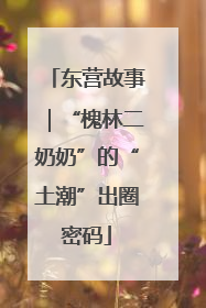 东营故事｜“槐林二奶奶”的“土潮”出圈密码