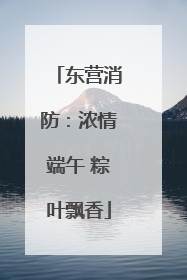 东营消防：浓情端午 粽叶飘香