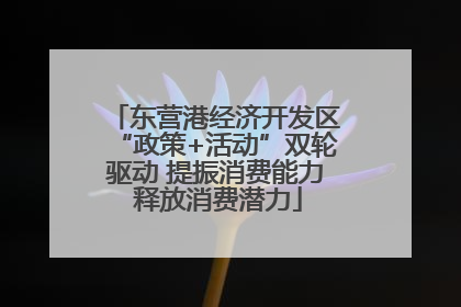 东营港经济开发区“政策+活动”双轮驱动 提振消费能力 释放消费潜力