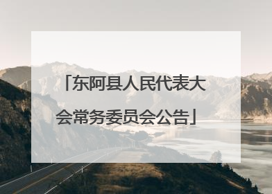 东阿县人民代表大会常务委员会公告