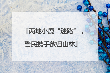 两地小鹿“迷路”，警民携手放归山林