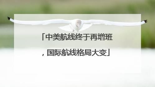 中美航线终于再增班，国际航线格局大变