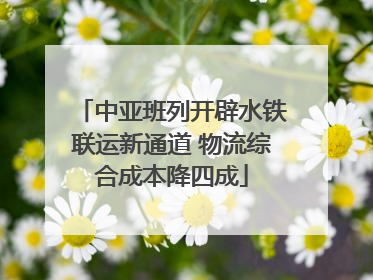 中亚班列开辟水铁联运新通道 物流综合成本降四成