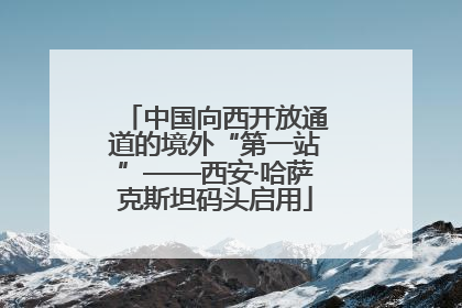 中国向西开放通道的境外“第一站”——西安·哈萨克斯坦码头启用