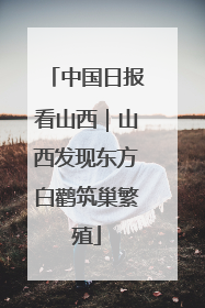 中国日报看山西｜山西发现东方白鹳筑巢繁殖