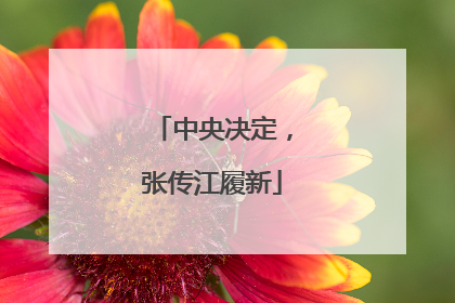 中央决定，张传江履新