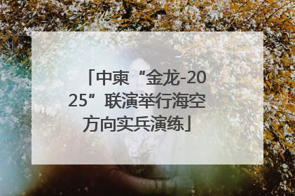 中柬“金龙-2025”联演举行海空方向实兵演练