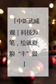 中新武威观｜科技为笔，绘就夏粮“丰”景