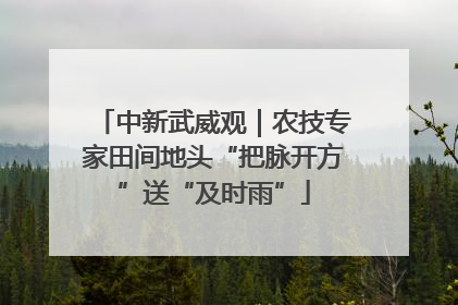 中新武威观｜农技专家田间地头“把脉开方”送“及时雨”