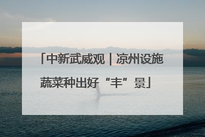 中新武威观｜凉州设施蔬菜种出好“丰”景