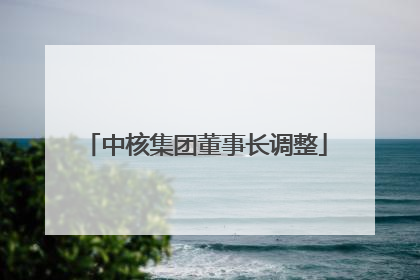 中核集团董事长调整