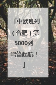 中欧班列（合肥）第5000列鸣笛起航！
