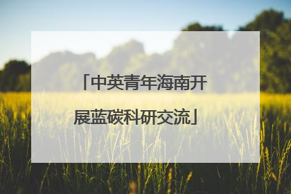 中英青年海南开展蓝碳科研交流