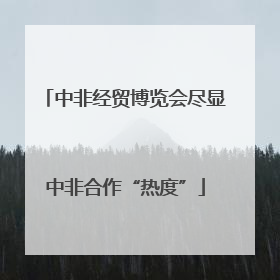 中非经贸博览会尽显中非合作“热度”