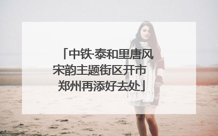中铁·泰和里唐风宋韵主题街区开市 郑州再添好去处