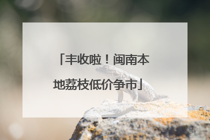 丰收啦！闽南本地荔枝低价争市