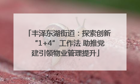 丰泽东湖街道：探索创新“1+4”工作法 助推党建引领物业管理提升