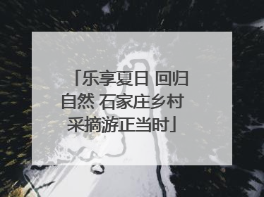 乐享夏日 回归自然 石家庄乡村采摘游正当时