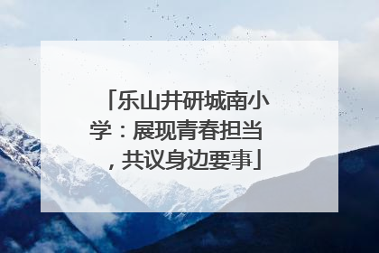 乐山井研城南小学：展现青春担当，共议身边要事