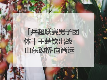 乒超联赛男子团体｜王楚钦出战 山东魏桥·向尚运动胜四川丰谷
