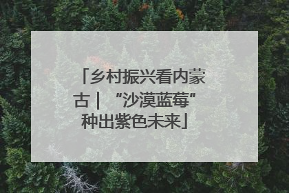 乡村振兴看内蒙古｜“沙漠蓝莓”种出紫色未来