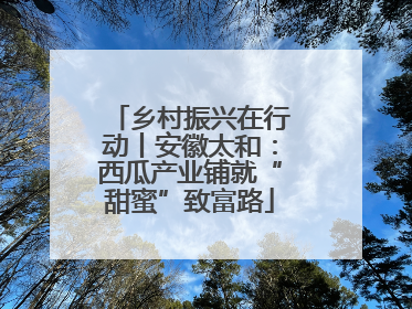 乡村振兴在行动丨安徽太和：西瓜产业铺就“甜蜜”致富路