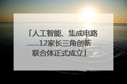 人工智能、集成电路……12家长三角创新联合体正式成立