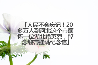 人民不会忘记！20多万人到河北这个市缅怀一位湖北籍英烈，悼念缎带挂满纪念馆