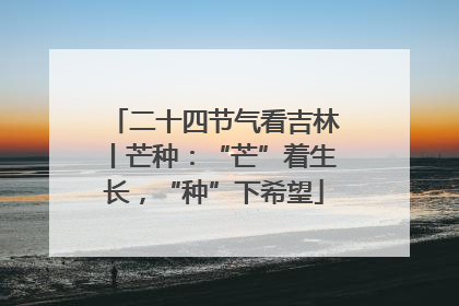 二十四节气看吉林丨芒种：“芒”着生长，“种”下希望