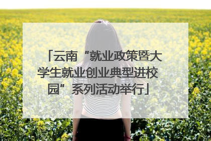 云南“就业政策暨大学生就业创业典型进校园”系列活动举行