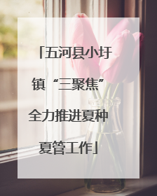 五河县小圩镇“三聚焦”全力推进夏种夏管工作