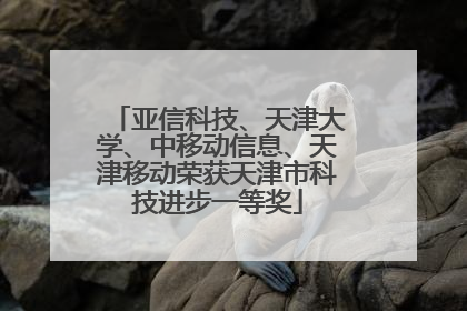 亚信科技、天津大学、中移动信息、天津移动荣获天津市科技进步一等奖
