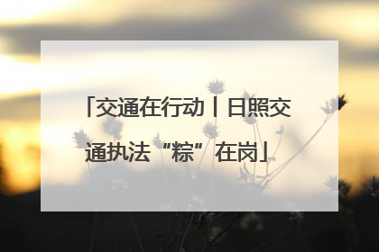 交通在行动丨日照交通执法“粽”在岗