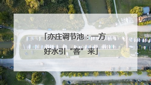 亦庄调节池：一方好水引“客”来