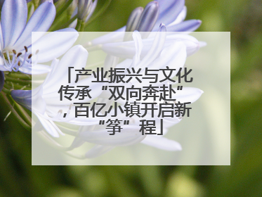 产业振兴与文化传承“双向奔赴”，百亿小镇开启新“筝”程