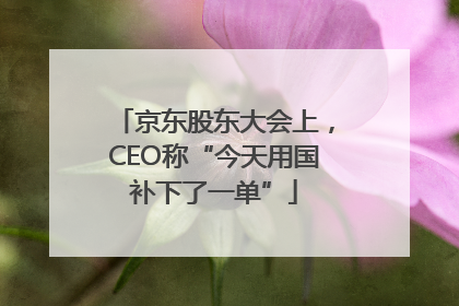 京东股东大会上，CEO称“今天用国补下了一单”