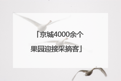 京城4000余个果园迎接采摘客