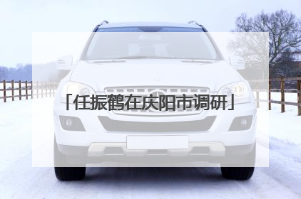 任振鹤在庆阳市调研