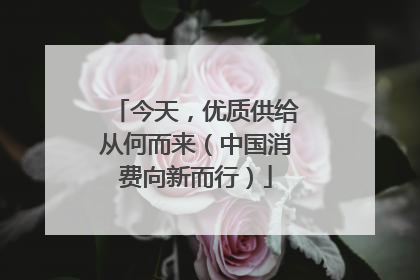 今天，优质供给从何而来（中国消费向新而行）