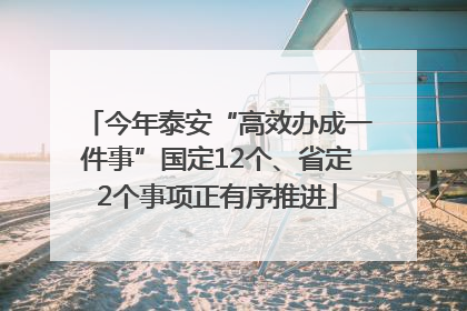 今年泰安“高效办成一件事”国定12个、省定2个事项正有序推进