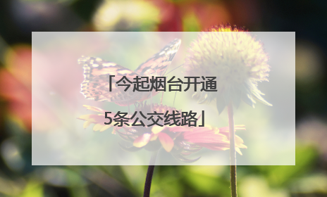 今起烟台开通5条公交线路