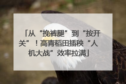 从“挽裤腿”到“按开关”！高青稻田插秧“人机大战”效率拉满